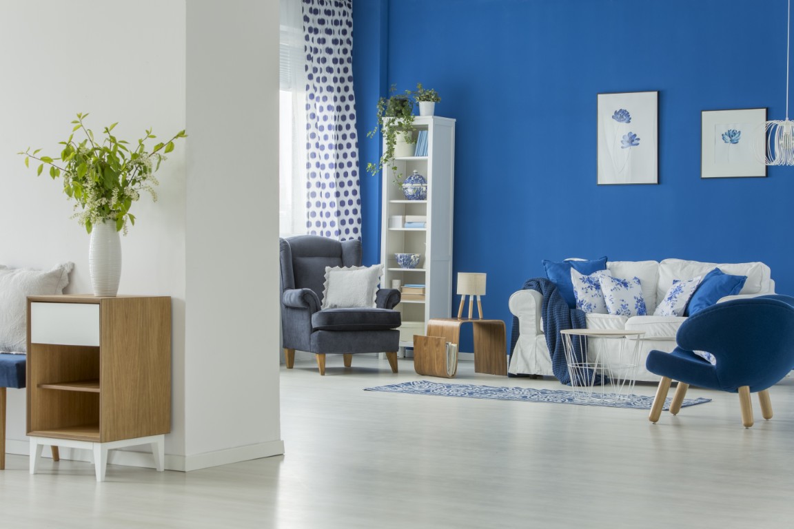 Spacious Room Interior Painting